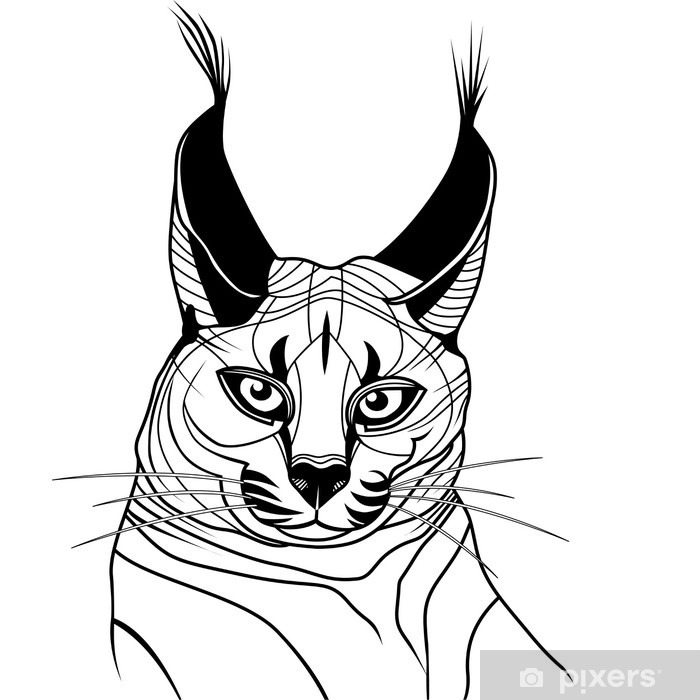 700x700 Cat Caracal Kitten Wild Animal Sketch Tattoo Vector Wall Mural