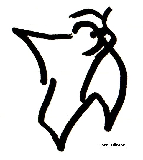 485x543 Cat Whiskers