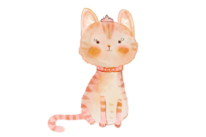 720x479 Cat, Illustration, Drawing, Transparent Png Image Clipart Free