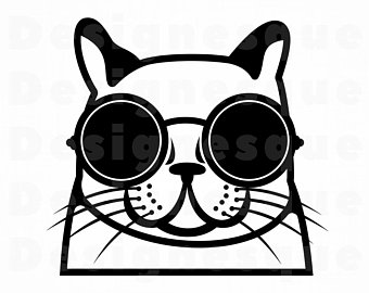 340x270 Cool Cat Etsy