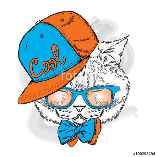 500x500 Funny Cat In A Cap And Glasses Cool Cat Vector Illustration