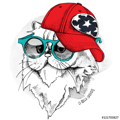 500x500 Himalayan Cat In Glasses And Red Cap Vector Illustration