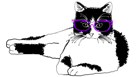 480x268 Video Cats Wearing Glasses Drawings