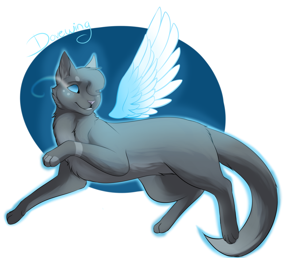 948x843 Dovewing's Wings