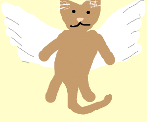 300x250 A Cat With Dove Wings