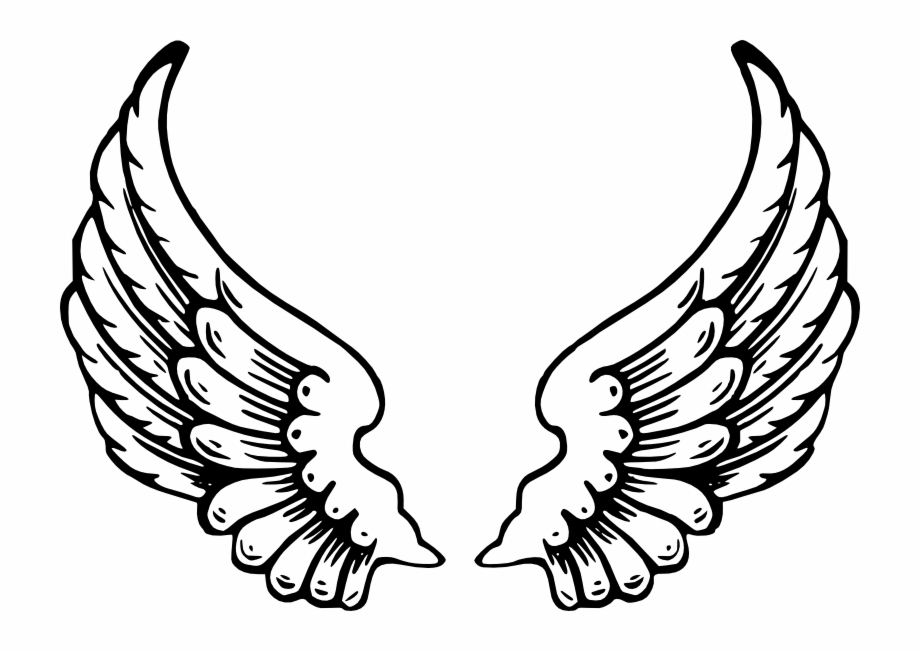 920x651 Angel Wings Png