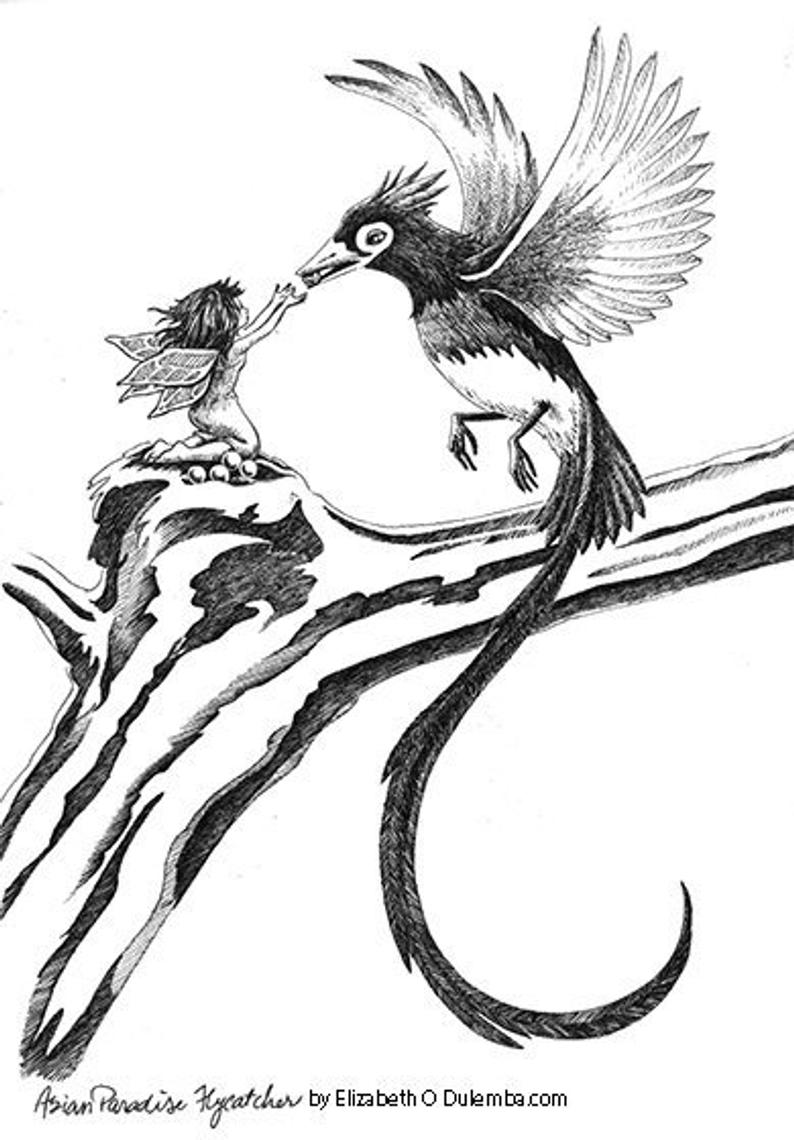 794x1140 Berry Catcher Original Pen Ink Drawing Etsy