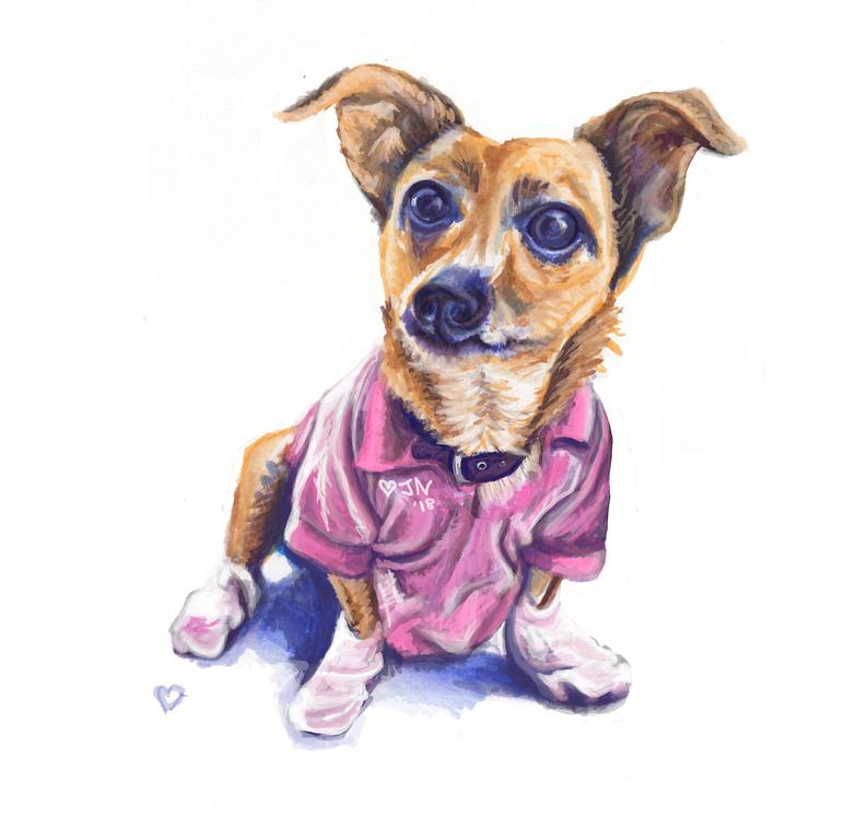 794x746 Custom Pet Portrait Hand Drawn Animal Artwork Cat Dog Fish Etsy