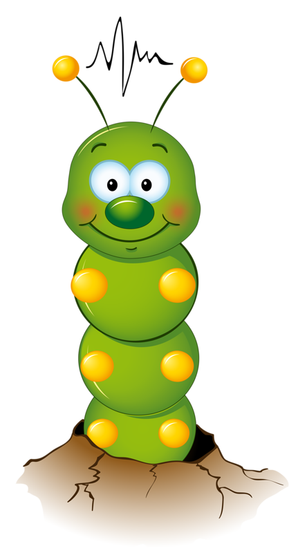 431x800 Caterpillar Drawing Transparent Png Clipart Free Download