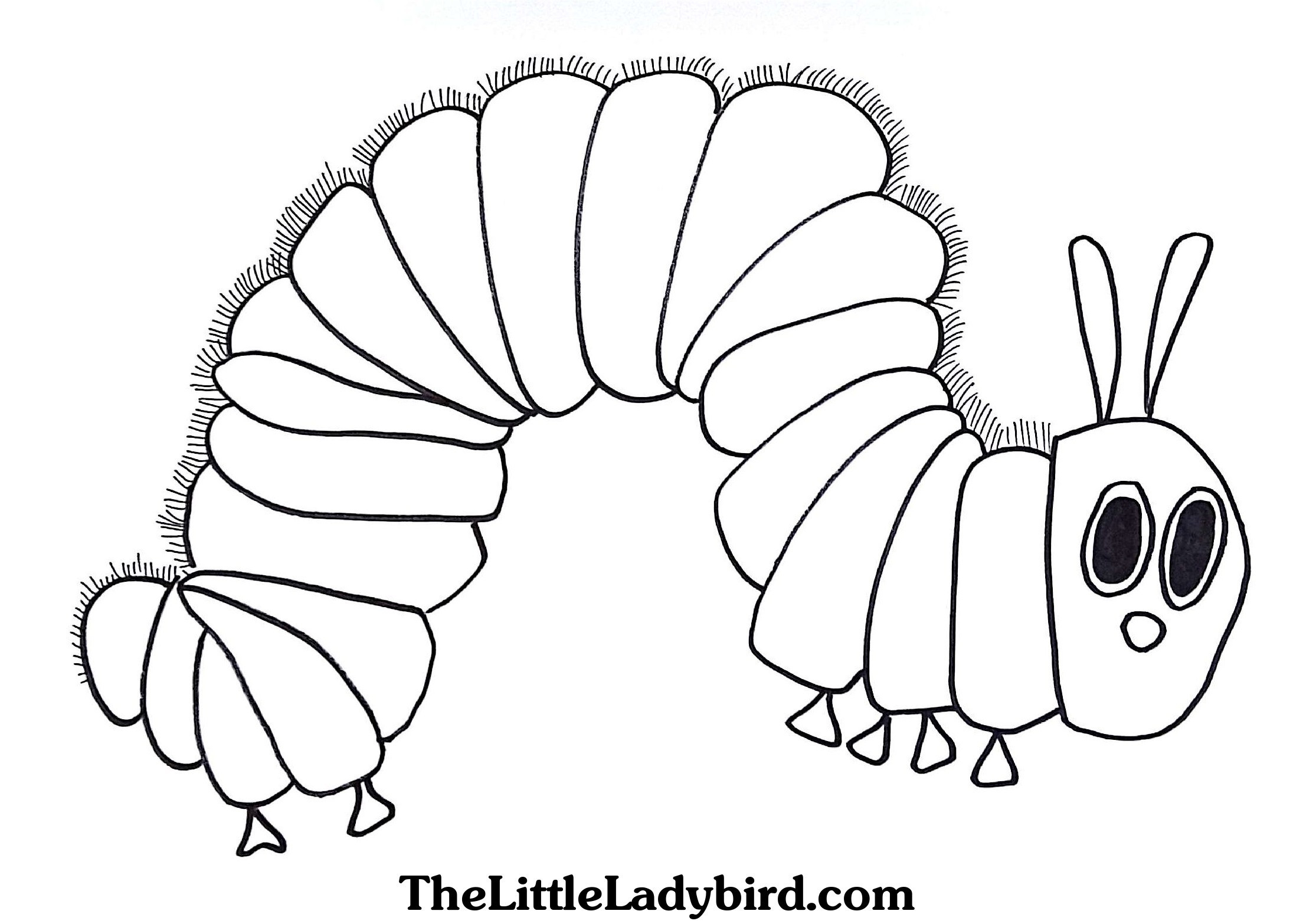 2230x1566 Coloring Pages Of Butterflies And Caterpillars Coloring Coloring