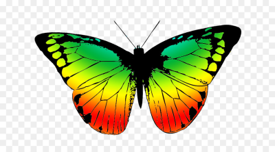 400x222 Download Free Png Monarch Butterfly Insect Drawing Clip Art