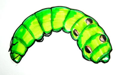 400x250 How To Draw A Caterpillar
