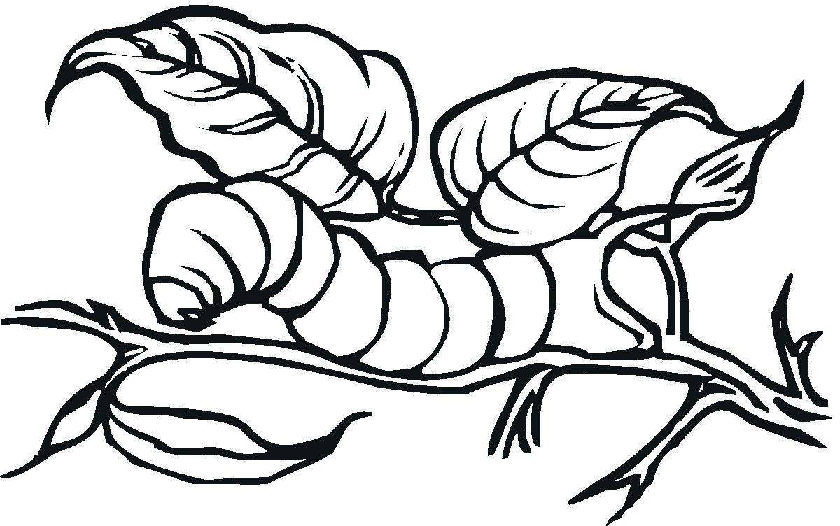 1200x752 Caterpillar Coloring Pages For Kids With Very Hungry Drawing