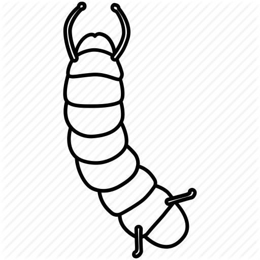 512x512 Drawing, Caterpillar, White, Transparent Png Image Clipart Free