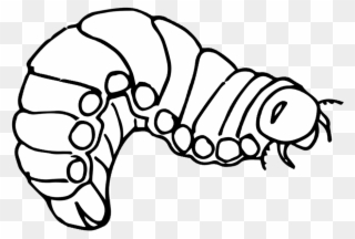 320x216 Free Png Caterpillar Clip Art Download