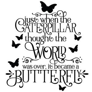 300x300 Silhouette Design Store