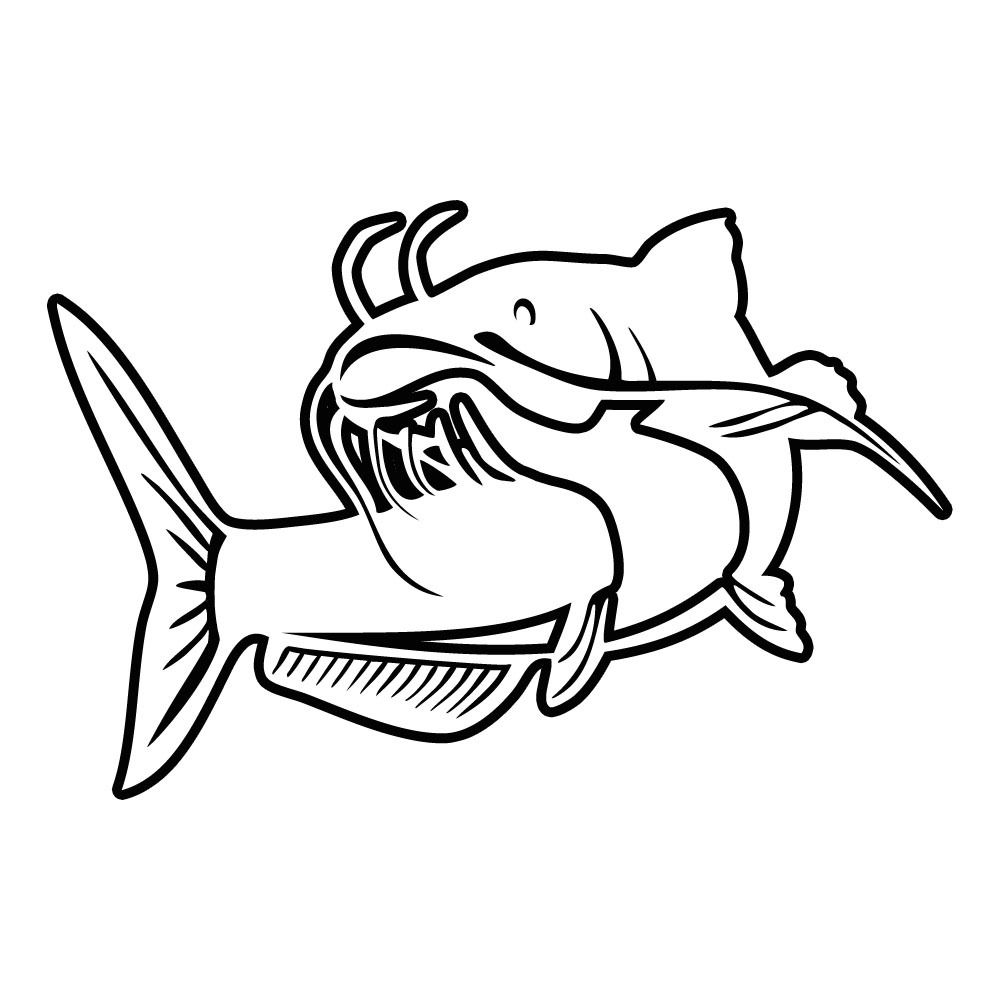 1000x1000 Catfish Decal Vinyl Sticker