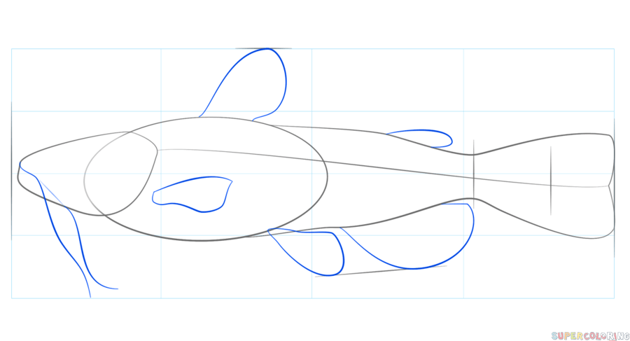900x487 Catfish Drawing Free Download Clip Art