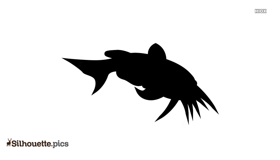934x534 Catfish Drawings Silhouette Vector, Clipart Images, Pictures