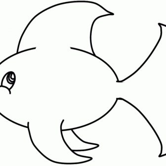 336x336 Flathead Catfish Drawing Free Red Tail Step