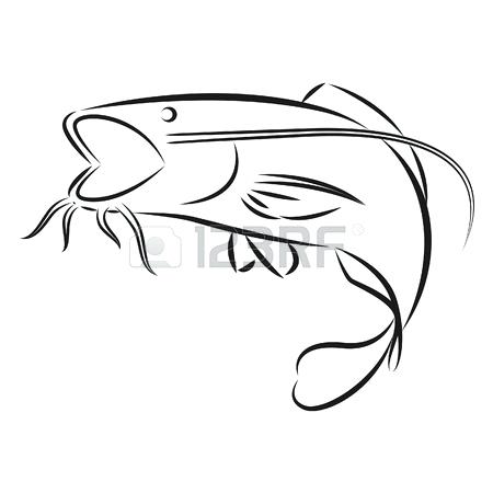 450x450 Catfish Drawings Legionfront