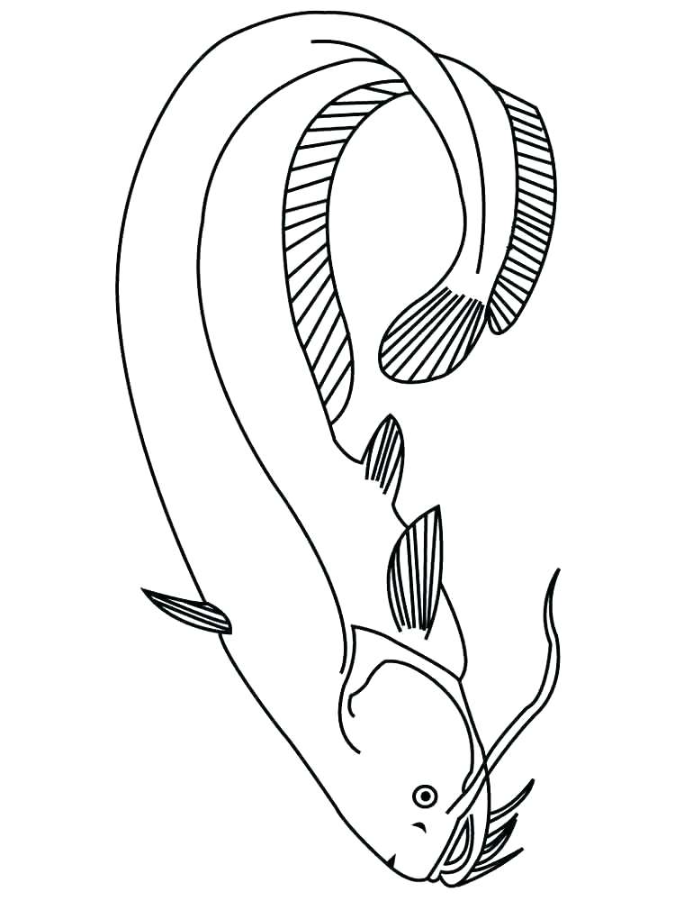 750x1000 Free Coloring Pages Of Catfish