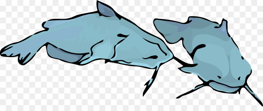 900x380 Blue, White, Head, Transparent Png Image Clipart Free Download