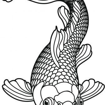 336x336 Catfish Images Drawing Outline Skeleton Channel Pictures Carmi