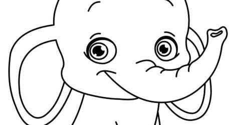 471x250 How To Draw A Cat Face Step