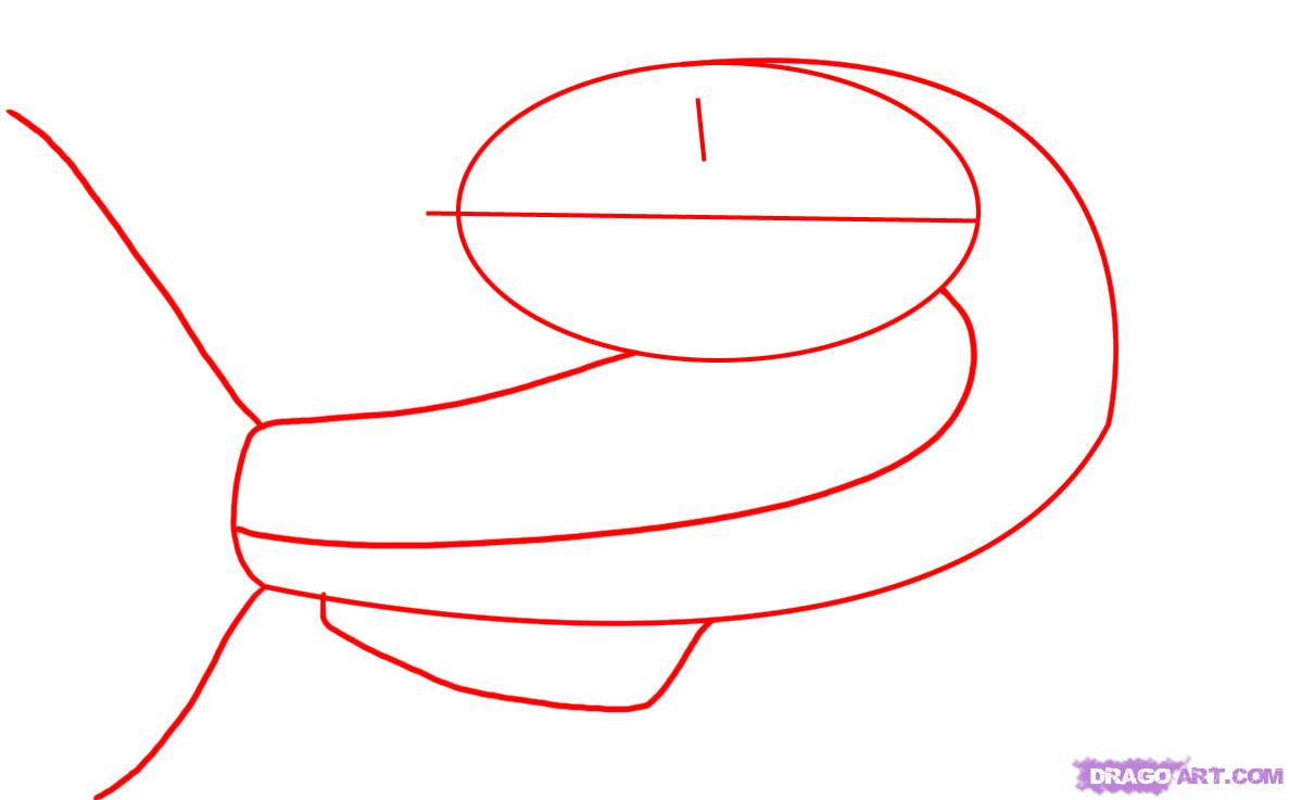 1187x737 How To Draw A Catfish, Step