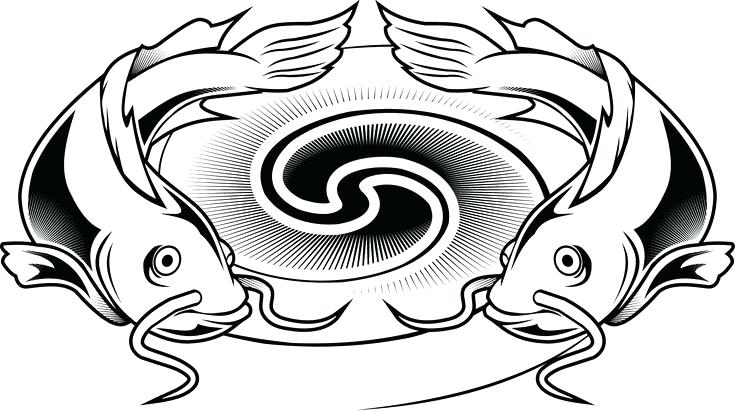 736x411 Catfish Drawings Legionfront