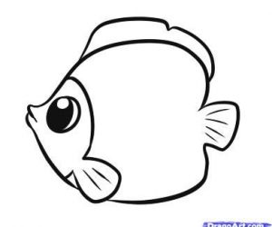 300x250 Archive With Tag Easy To Draw Catfish Sweet Sardinia How