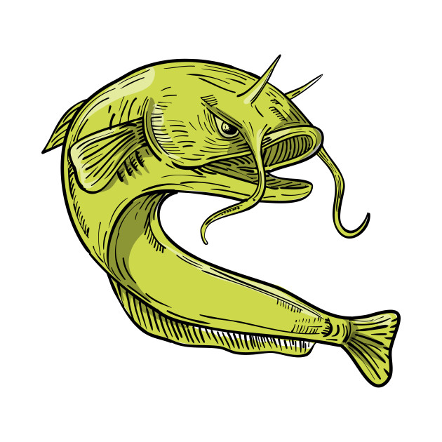 630x630 Devil Catfish Jumping Drawing