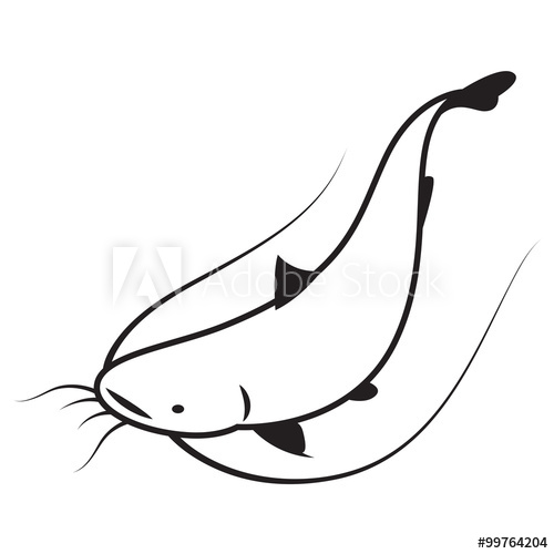 500x500 Graphic Catfish, Vector