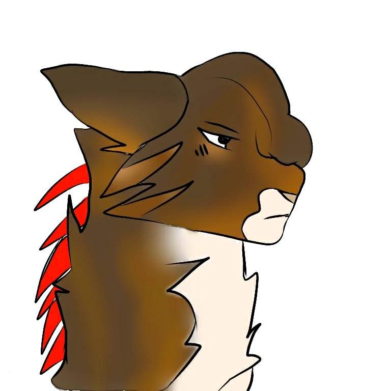 768x768 some more cats cat kingdom amino amino