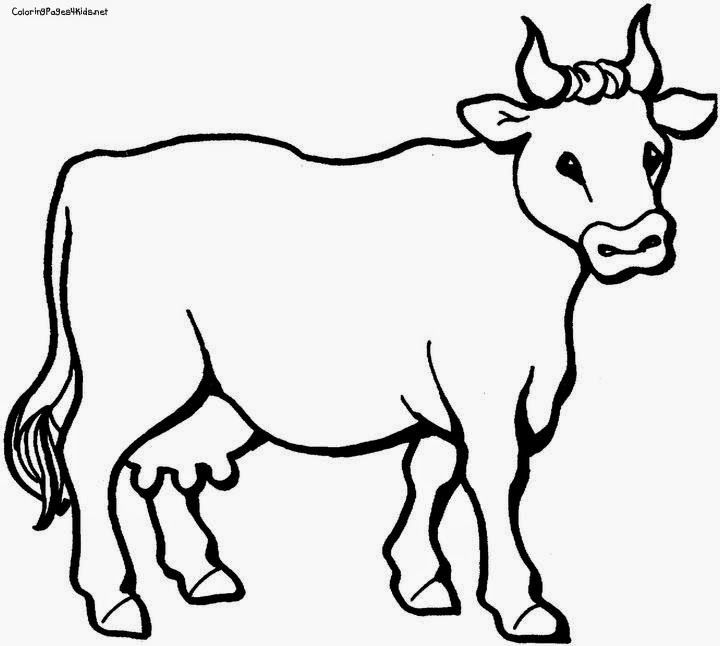 Cattle Drawing