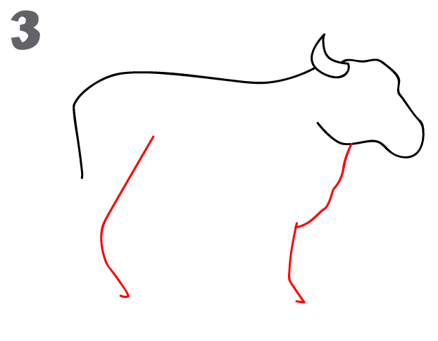622x484 How To Draw A Cow