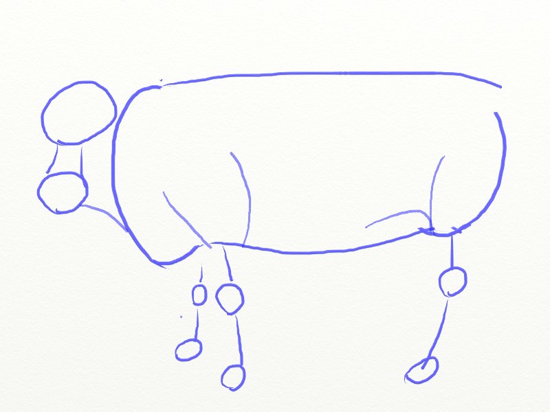 800x600 How To Draw A Cow