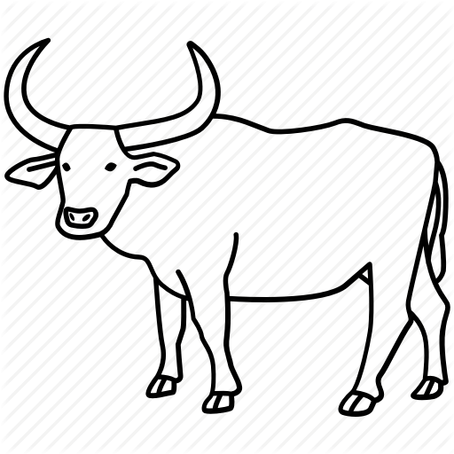 512x512 Ox, Cattle, Drawing, Transparent Png Image Clipart Free Download