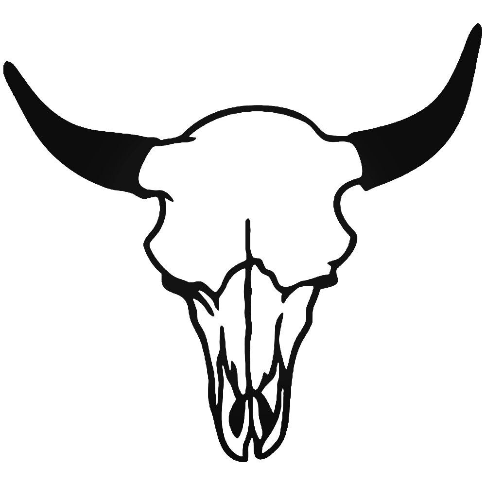 1000x1000 Longhorn Cattle Skull Vinyl Decal Sticker