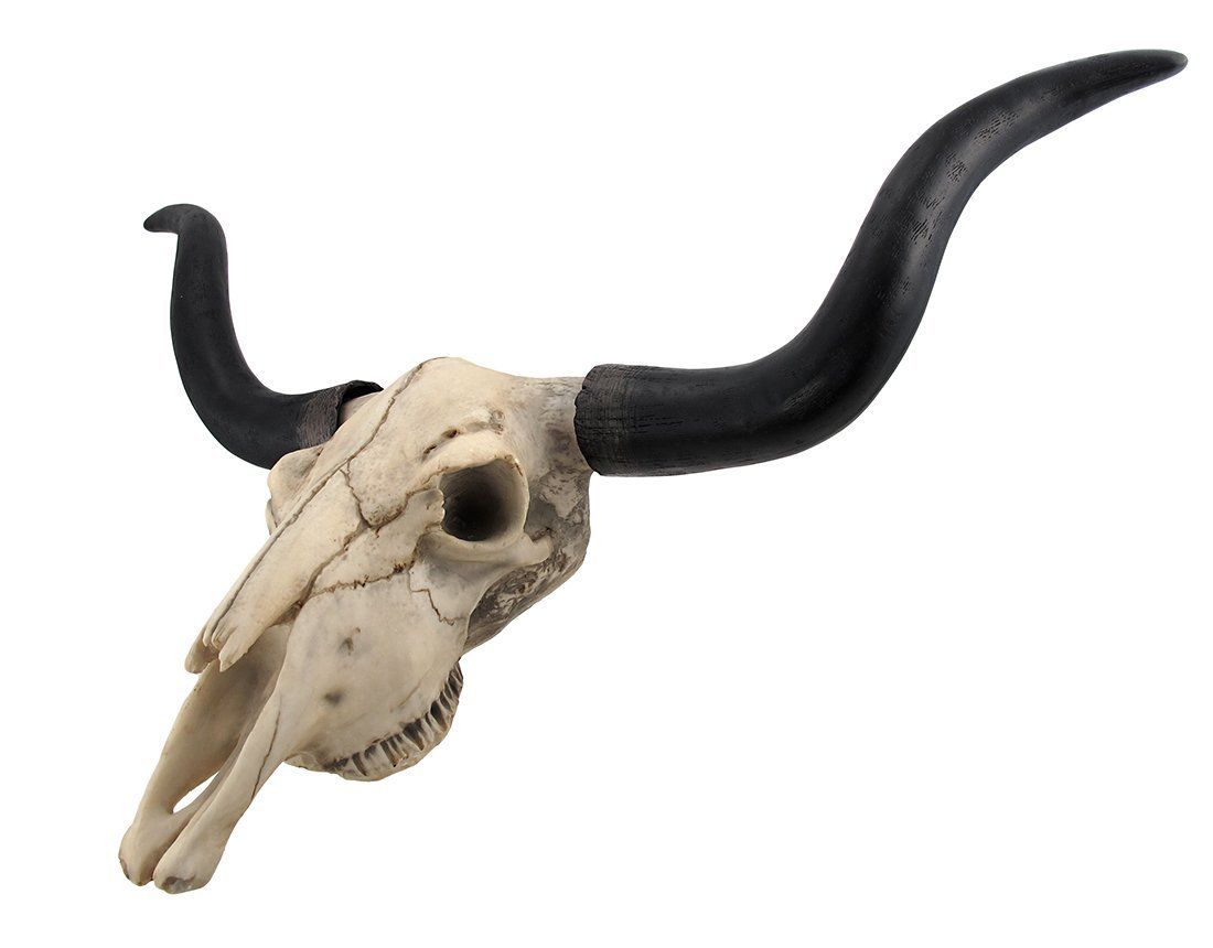 1100x860 Long Horn Cow Skull Wall Hanging Longhorn Steer