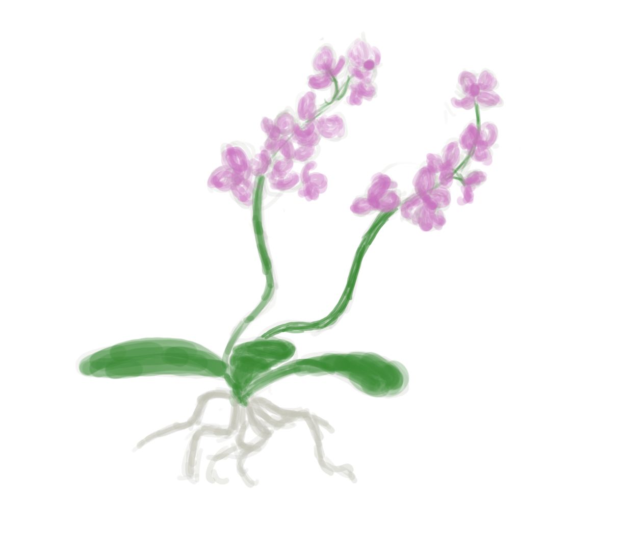 1220x1083 I Can't Draw A Flower