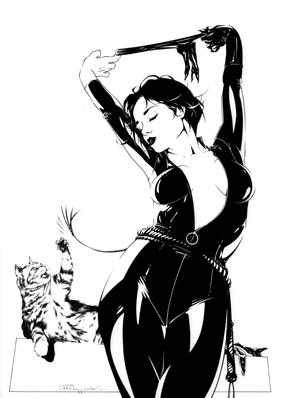 566x800 catwoman and a cat playing in philippe vandaele's drawings comic