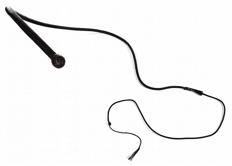 750x538 Catwoman Halle Berry Drawing