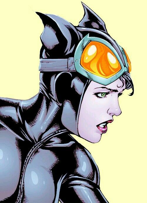 500x690 Catwoman Discovered