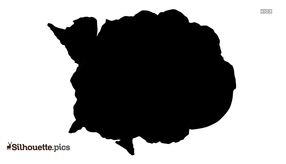 934x534 cauliflower silhouette drawing silhouette pics
