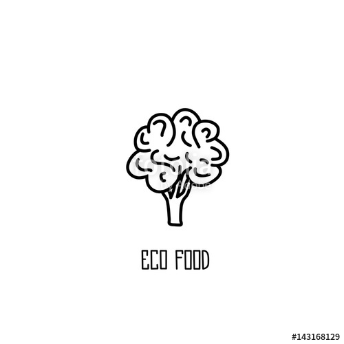 500x500 cauliflower hand drawn ink sketch stock image and royalty free