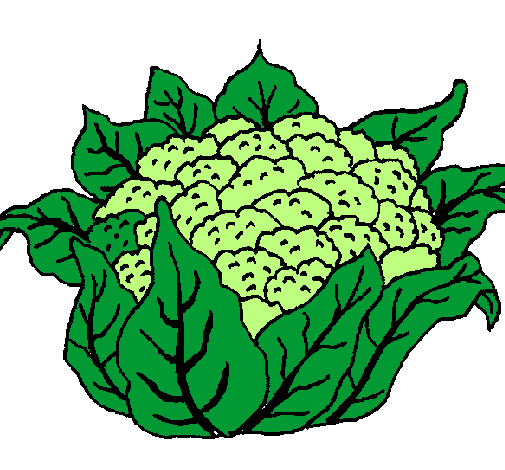 505x470 Drawing, Food, Vegetable, Transparent Png Image Clipart Free