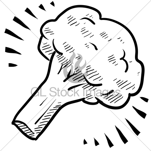 500x500 broccoli or cauliflower sketch gl stock images
