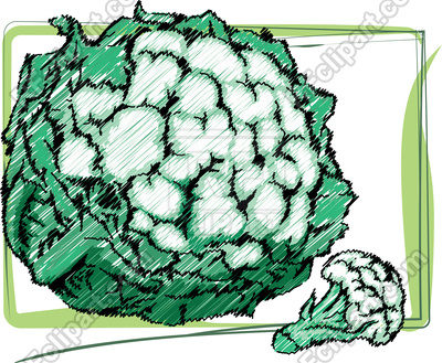 400x329 Organic Cauliflower Illustration Vector Image Of Food
